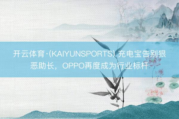 开云体育·(KAIYUNSPORTS) 充电宝告别狠恶助长，OPPO再度成为行业标杆