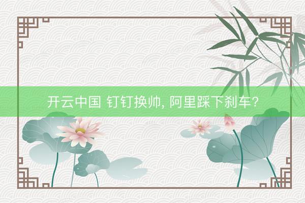 开云中国 钉钉换帅， 阿里踩下刹车?