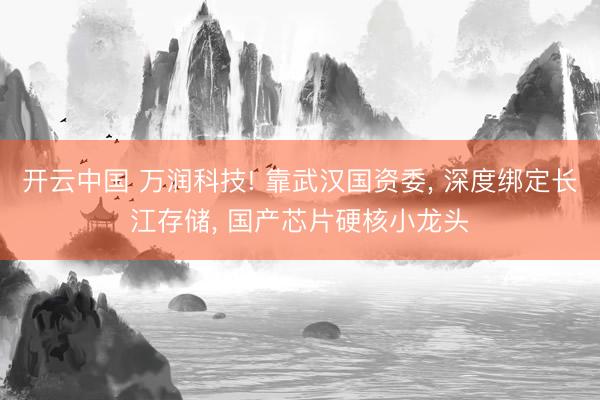 开云中国 万润科技! 靠武汉国资委， 深度绑定长江存储， 国产芯片硬核小龙头