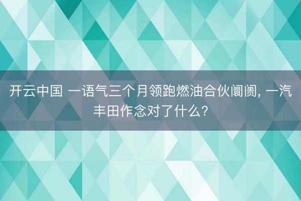 开云中国 一语气三个月领跑燃油合伙阛阓, 一汽丰田作念对了什么?